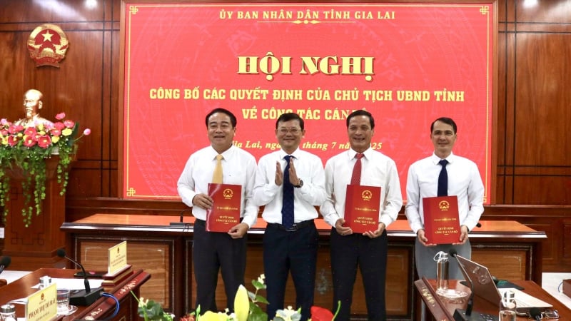 Gia Lai bổ nhiệm Phó Trưởng Ban Quản lý Khu kinh tế tỉnh 