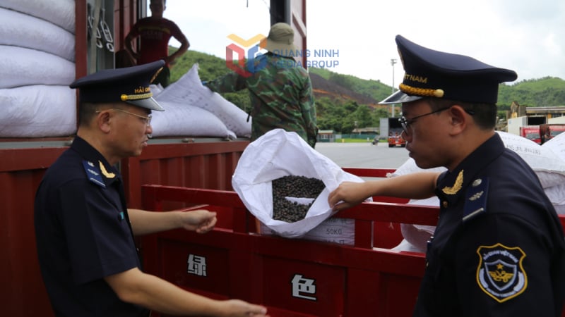 319.500 tấn nông sản xuất khẩu qua Quảng Ninh trong 6 tháng đầu năm 2025 