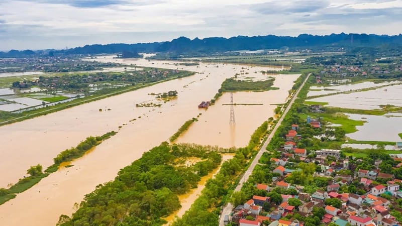 Ứng phó bão số 3, tỉnh Ninh Bình lên phương án bảo vệ 1.242km đê, trọng tâm là tuyến đê của tỉnh Nam Định, Hà Nam cũ