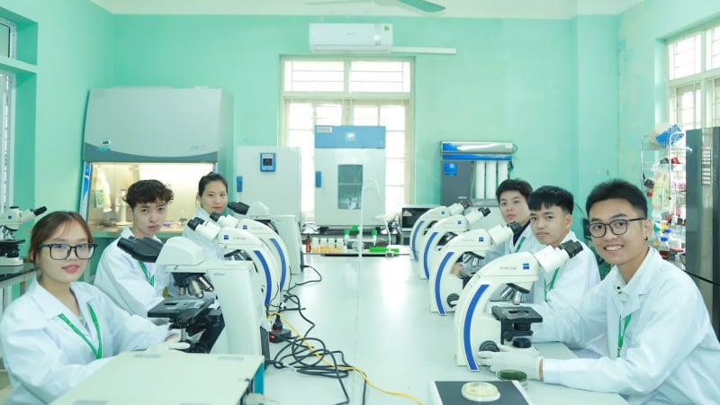 Một ngành học gắn với ngành hàng xuất khẩu chục tỷ USD của Việt Nam, sinh viên ra trường là có việc làm, lương cao