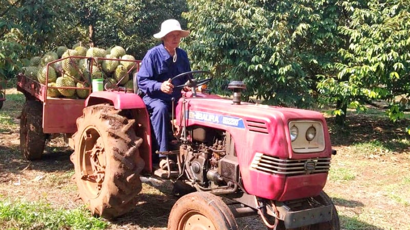 Từ đàn heo hơn 4 triệu con đến cánh đồng ven hồ Trị An, nông nghiệp tỉnh Đồng Nai lộ diện mảnh ghép tăng trưởng thần tốc