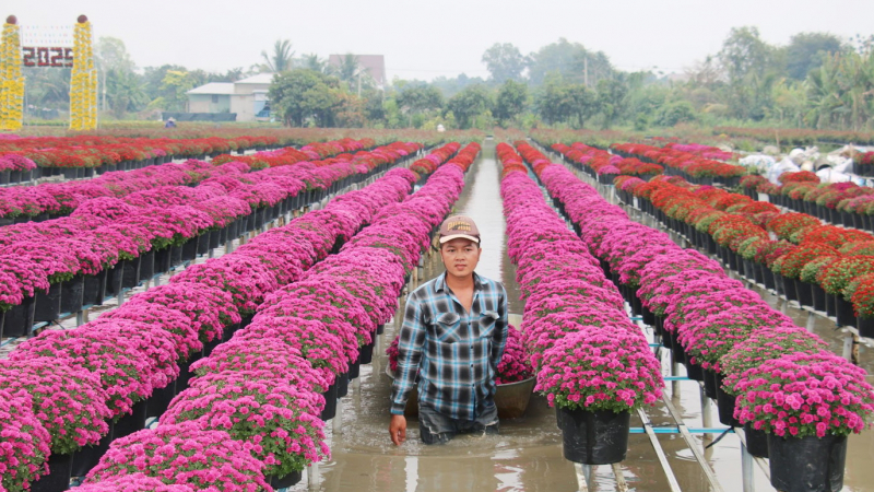 Một làng hoa nổi tiếng khắp miền Tây, có 2.000 chủng loại hoa, 4.000 hộ chia nhau 3.300 tỷ đồng