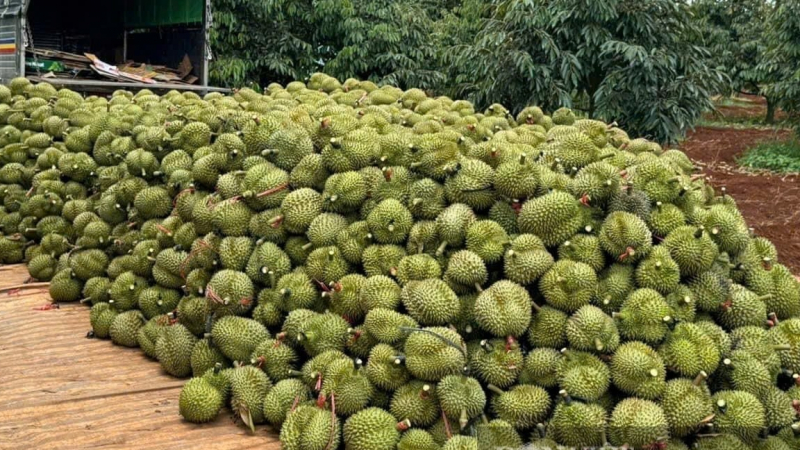 Mỹ áp thuế đối ứng với Việt Nam: Doanh nghiệp Việt cần làm gì?