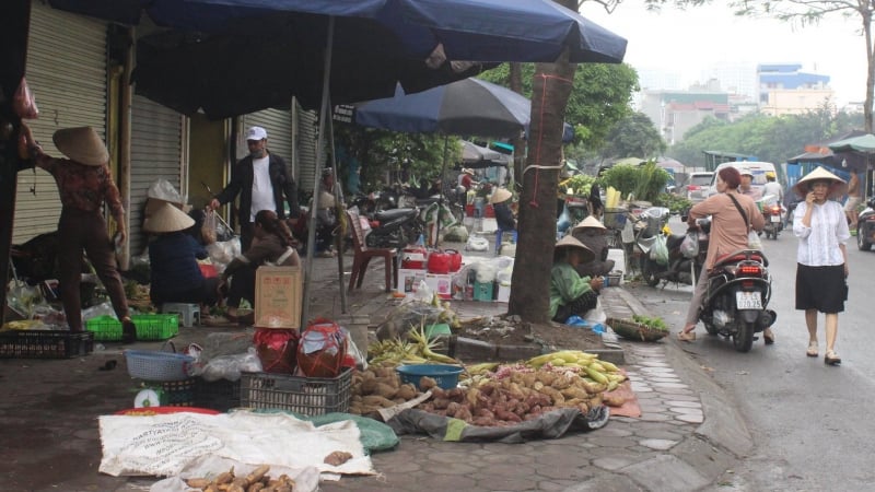 Hà Nội chốt ngày xử lý dứt điểm chợ cóc và hơn 700 cơ sở giết mổ tự phát