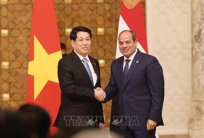 Nâng cấp quan hệ Việt Nam - Ai Cập lên Đối tác toàn diện