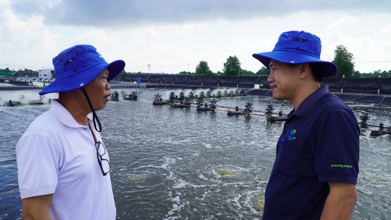 Nuôi tôm thẻ siêu thâm canh tuần hoàn không xả thải, bảo vệ môi trường, người tiêu dùng khỏe, nông dân Cà Mau làm giàu
