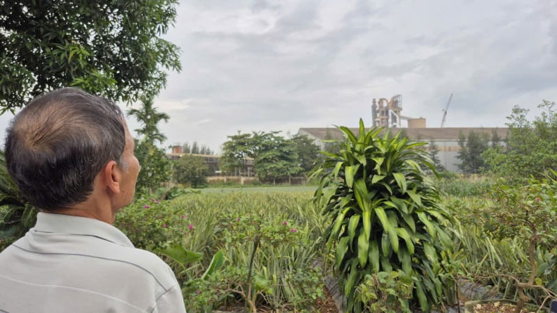 danviet.vn