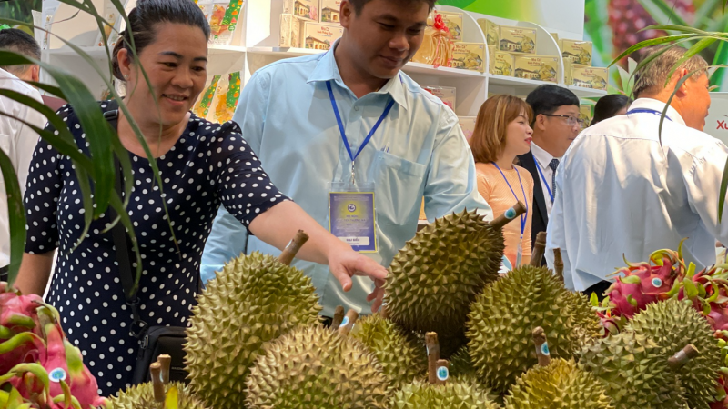 danviet.vn