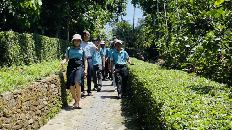 Sắp xếp thôn, tổ dân phố mới nhất ở Đà Nẵng: Đề xuất tên làng cổ Lộc Yên đặt cho tên thôn mới sau sáp nhập