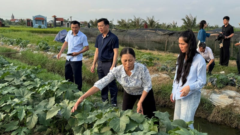 Hội Nông dân tỉnh Cao Bằng khẳng định vai trò trụ cột trong phát triển nông nghiệp và xây dựng nông thôn mới