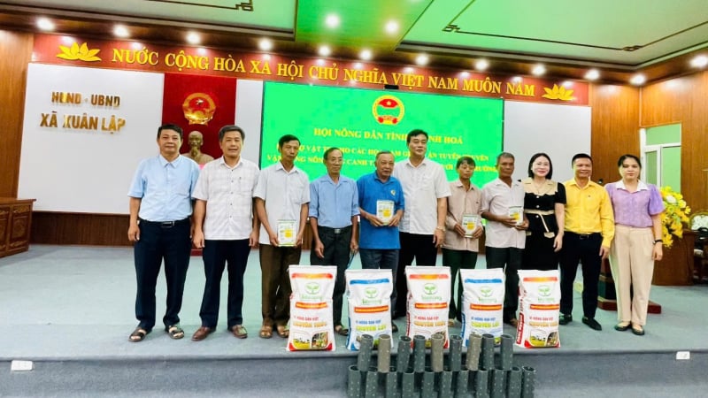 Không đốt rơm rạ, tưới nước kiểu mới, nông dân Thanh Hóa đang làm điều đặc biệt trên những cánh đồng lúa