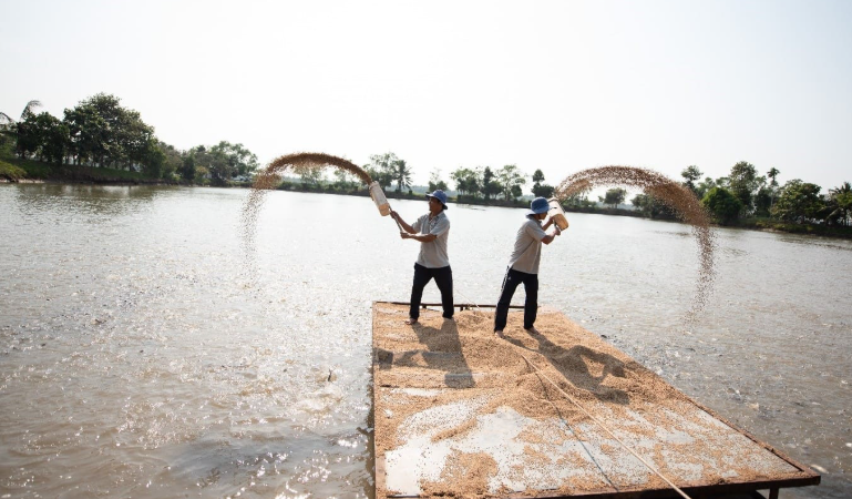 Không phải nông nghiệp, mảng này đã giúp The Pan Group báo lãi nghìn tỷ năm 2024