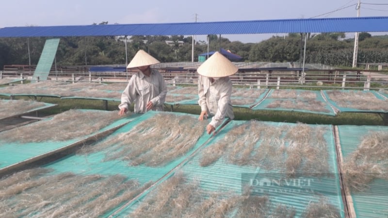 Thái Nguyên có hai HTX được bình chọn giải thưởng “CoopStar Awards 2025'