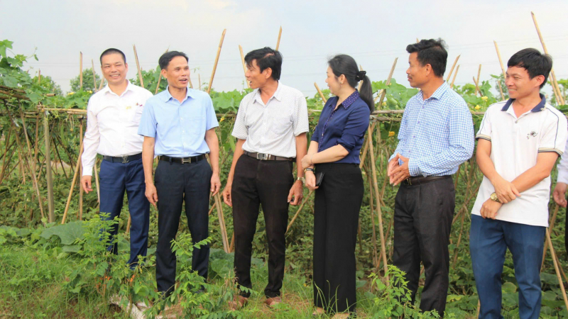 Tỷ phú Bắc Ninh, chỉ trồng rau mà một HTX có thu nhập 7 tỷ/năm, nhiều nông dân xây nhà to đẹp