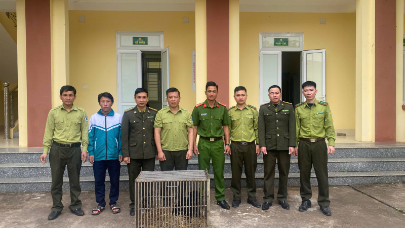 Vườn Quốc gia Hoàng Liên tiếp nhận 2 cá thể gấu ngựa