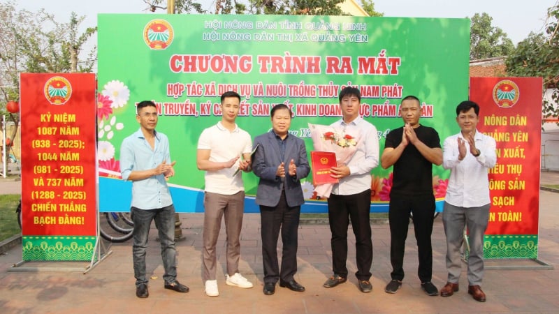 Quảng Ninh: Ra mắt HTX dịch vụ và nuôi trồng thủy sản Nam Phát ở Quảng Yên