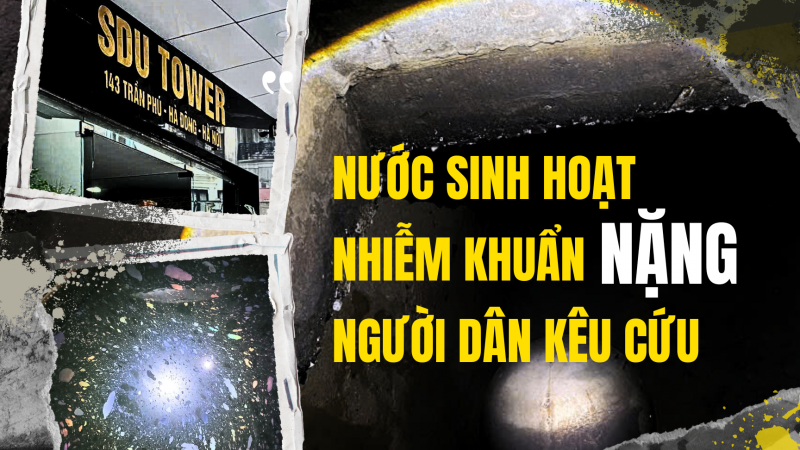 danviet.vn