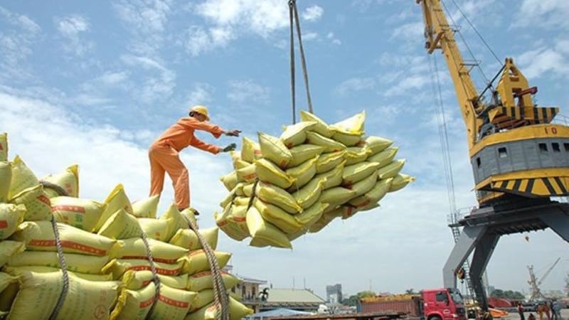 Giá gạo Thái Lan chạm 'đáy' hơn 3 năm, gạo Việt lại đứng đầu thế giới