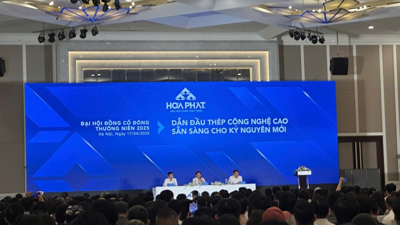ĐHĐCĐ 2025: Tỷ phú Trần Đình Long thông tin 'nóng' về HPG sản xuất ray đường sắt tốc độ cao