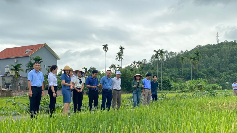 Từ năm 2025, cá nhân trong cùng tỉnh có được phép mua bán đất nông nghiệp không?