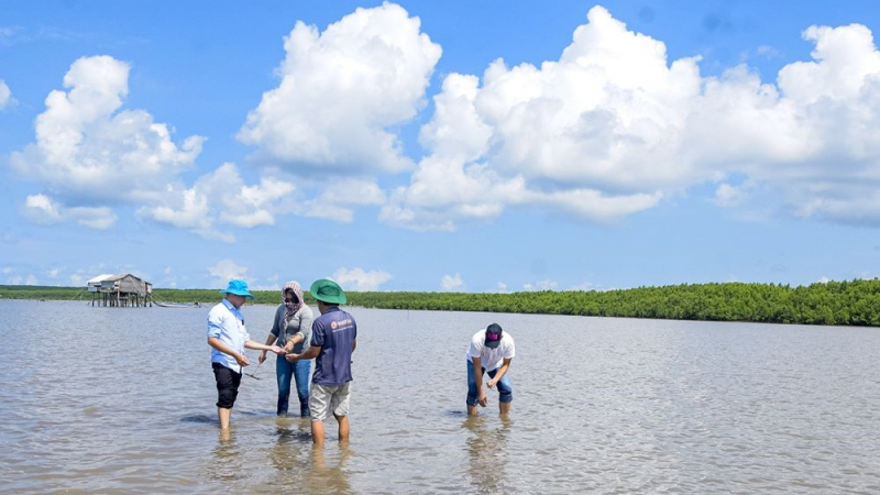 Con đặc sản bình dân thịt ngọt này ở Cà Mau, hễ cào bắt lên là bán hết veo
