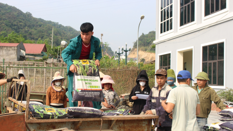 Sơn La: Hỗ trợ phân bón hữu cơ, tiếp sức nông dân nâng tầm hạt cà phê