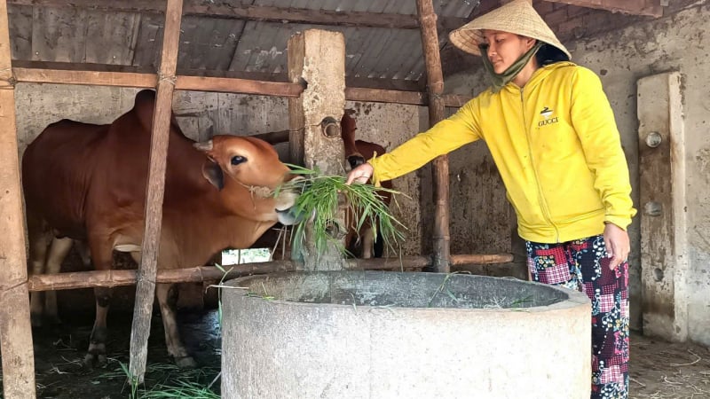 Doanh số cho vay tại Vạn Ninh (Khánh Hòa) đạt trên 56,8 tỷ đồng