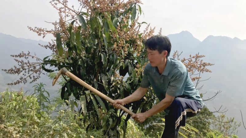 Đất cằn 'nở hoa, kết trái' nhờ Báo Dân Việt