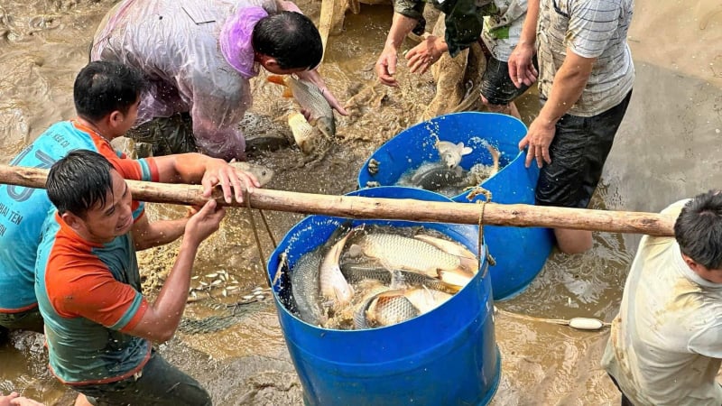 Lào Cai: Quỹ Hỗ trợ nông dân giúp nông dân Bảo Yên làm ăn lớn hơn