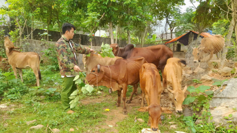 Đồng vốn Quỹ Hỗ trợ nông dân giúp nông dân một xã vùng cao của tỉnh Hòa Bình làm giàu trên đất khó