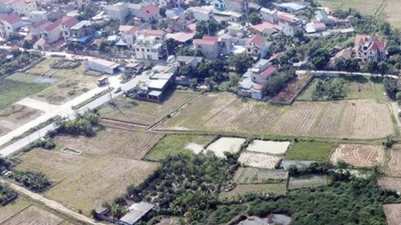 Hà Nội: Phạt tới 400 triệu đồng nếu tự ý chuyển đất trồng lúa sang đất ở