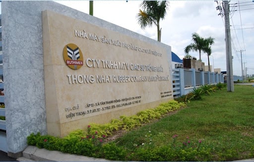 Không phải cao su, loại quả này giúp Cao su Thống Nhất (TNC) báo lãi tăng đột biến quý I/2025