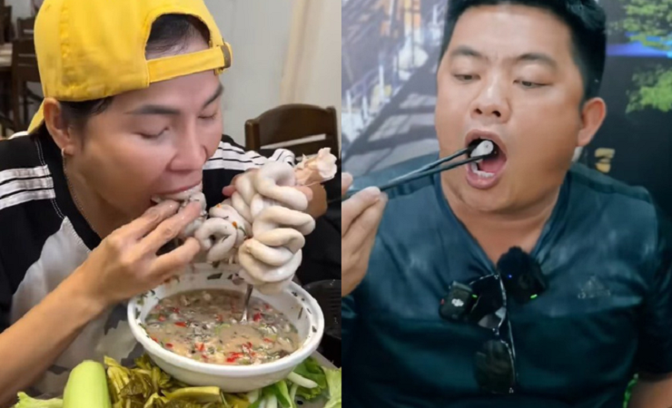 danviet.vn