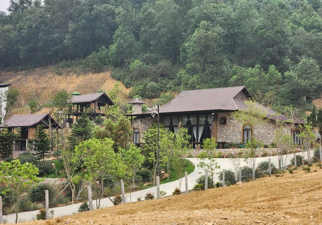 Chủ tịch Hà Nội chỉ đạo kiểm tra, xử lý việc lấn chiếm đất rừng tại huyện Thạch Thất