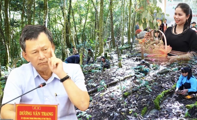 Quảng Ngãi mới có “báu vật” nào mà Bí thư Tỉnh uỷ Kon Tum cho là “vô giá”?