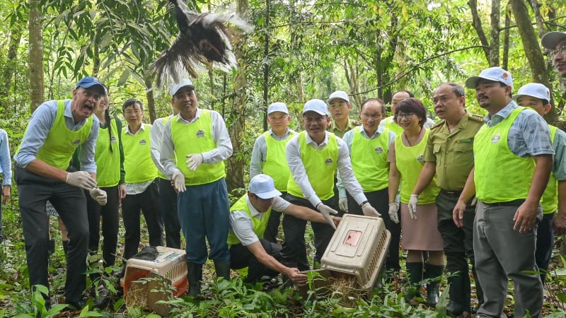 Thả động vật hoang dã quý hiếm vào một khu rừng nổi tiếng Ninh Bình nhân ngày Quốc tế Đa dạng sinh học