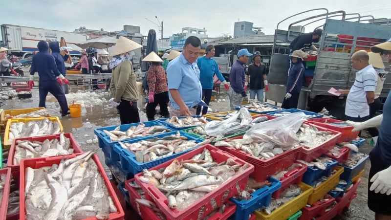 Trước ngày sáp nhập TP HCM, Bình Dương, ngành chức năng Bà Rịa-Vũng Tàu đang hỗ trợ doanh nghiệp xuất khẩu hải sản một việc quan trọng