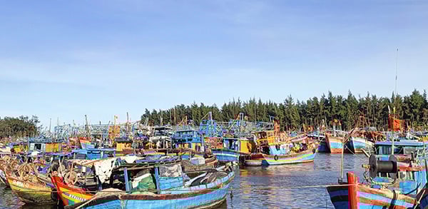 Trước giờ về với TP HCM, Bình Dương, ở Bà Rịa-Vũng Tàu có hàng trăm tàu cá phải nằm bờ vì 2 nguyên nhân nào?