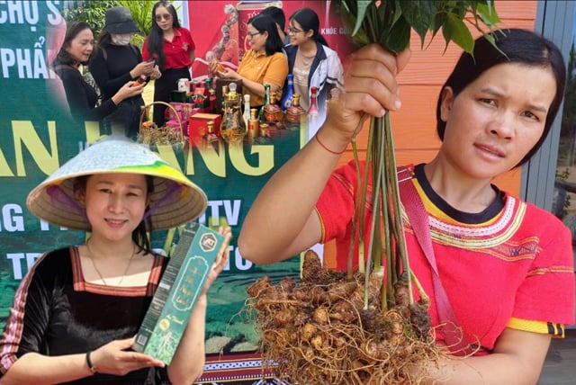 Phiên chợ sâm Tê Xăng tỉnh Kon Tum có gì đặc biệt?