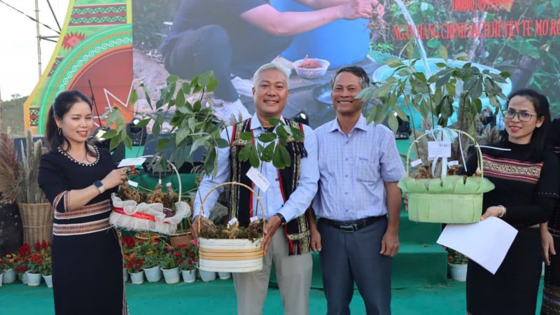 Huyện nào của tỉnh Kon Tum tròn 20 tuổi trước thềm sáp nhập tỉnh, bỏ đơn vị hành chính cấp huyện?