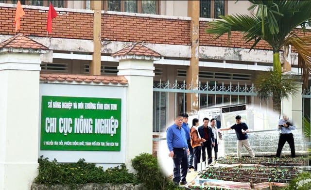 Sở NN&MT Kon Tum giải trình gì về vụ cấp mã vùng trồng sâm Ngọc linh cho doanh nghiệp?