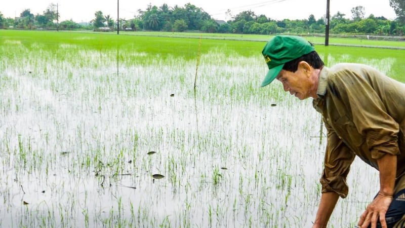 Gió chướng nhường hướng cho gió mùa Tây Nam, khi nào miền Tây, trong đó có Vĩnh Long đi vào mùa mưa?