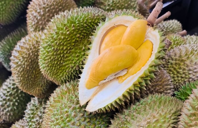 Ngon-bổ-rẻ: Chuỗi siêu thị nổi tiếng 'gây sốt' vì bán 35.000 đồng 1 quả sầu riêng