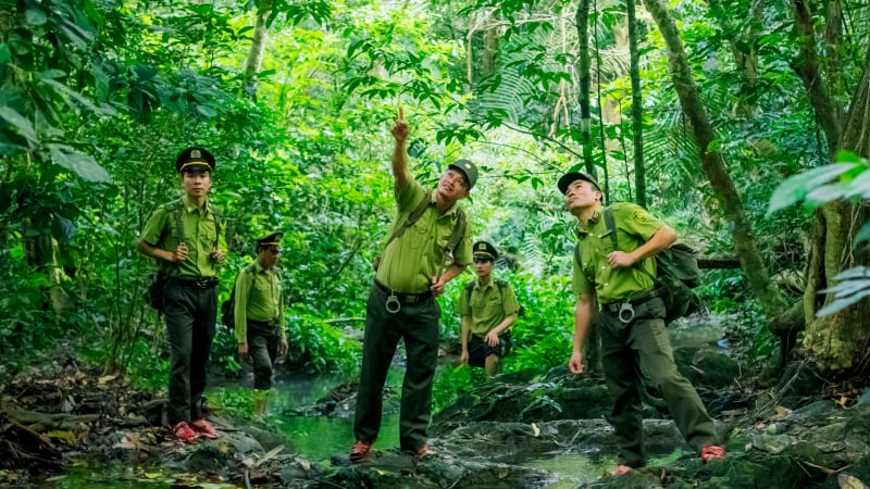 Tỉnh mới Ninh Bình, đây vẫn là khu rừng động vật hoang dã có trong sách đỏ Việt Nam được bảo vệ tốt