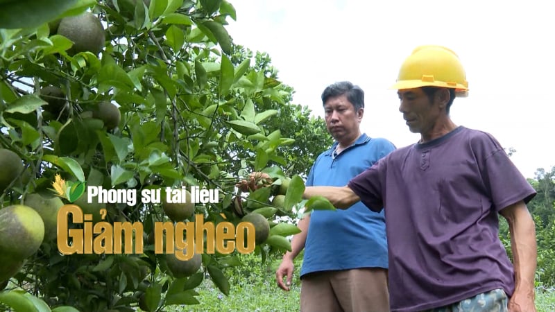 Từ nghèo khó đến thu nhập hàng trăm triệu: Hành trình thoát nghèo 'ngoạn mục' của nông dân miền núi Điện Biên