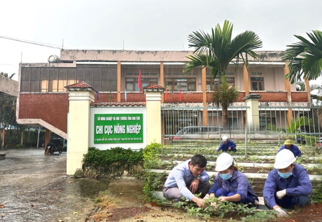 Chi cục Nông nghiệp Kon Tum xoá sổ mã số vùng trồng Sâm Ngọc Linh đã cấp cho doanh nghiệp sau ồn ào