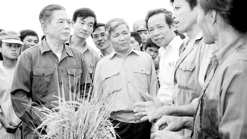 Tiếng nói của nông dân và những bài báo làm rung chuyển chính sách