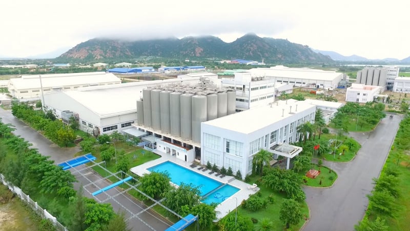 Sabibeco: Lỗ lũy kế hơn nửa nghìn tỷ, bất ngờ báo lãi trong quý I/2025