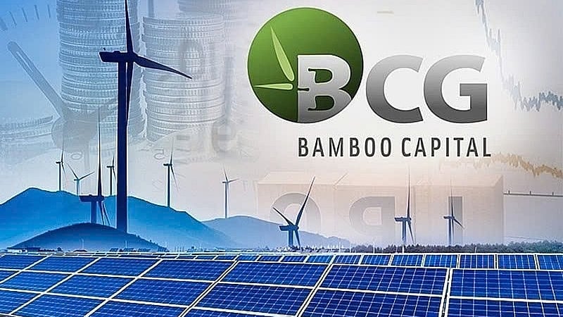 Bamboo Capital lý giải việc chưa tổ chức Đại hội đồng cổ đông thường niên 2025