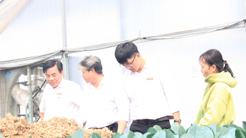 Khánh Hòa: Gần 2.000 tỷ đồng dư nợ, Agribank Ninh Sơn dẫn dắt làn sóng nông nghiệp công nghệ cao